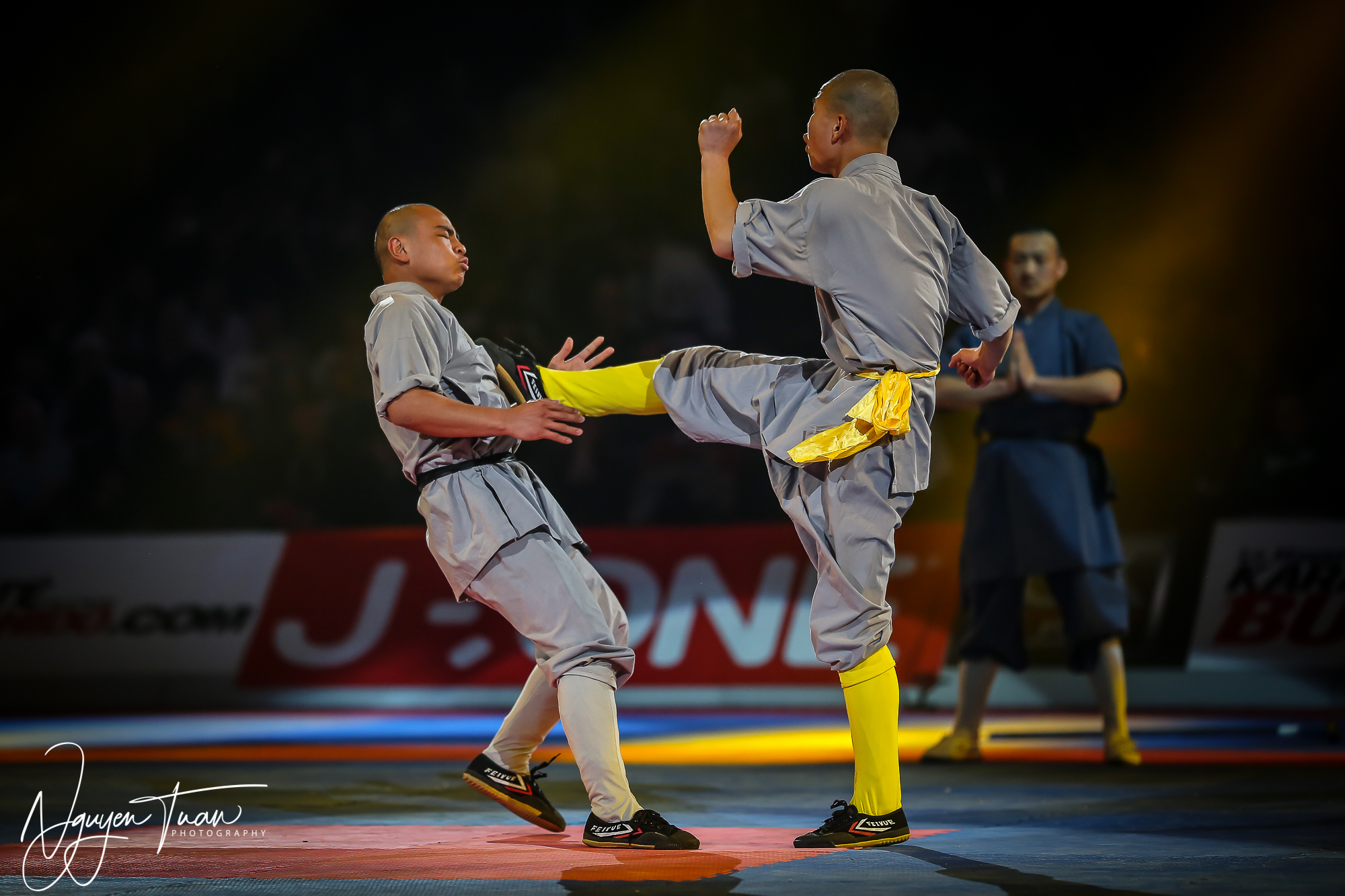 20190324 Festival des Arts Martiaux 5365